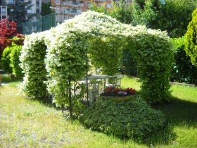 Il Gazebo - Bocciofila Lombardo